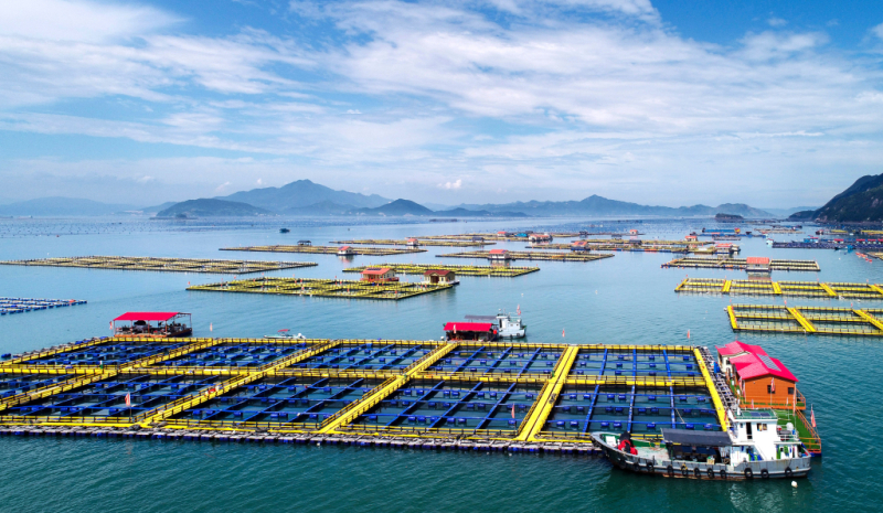 福建省海洋与渔业局召开2026年一季度“开门红”工作调度会议